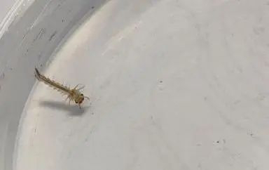 圖片3.png 圖片3.png